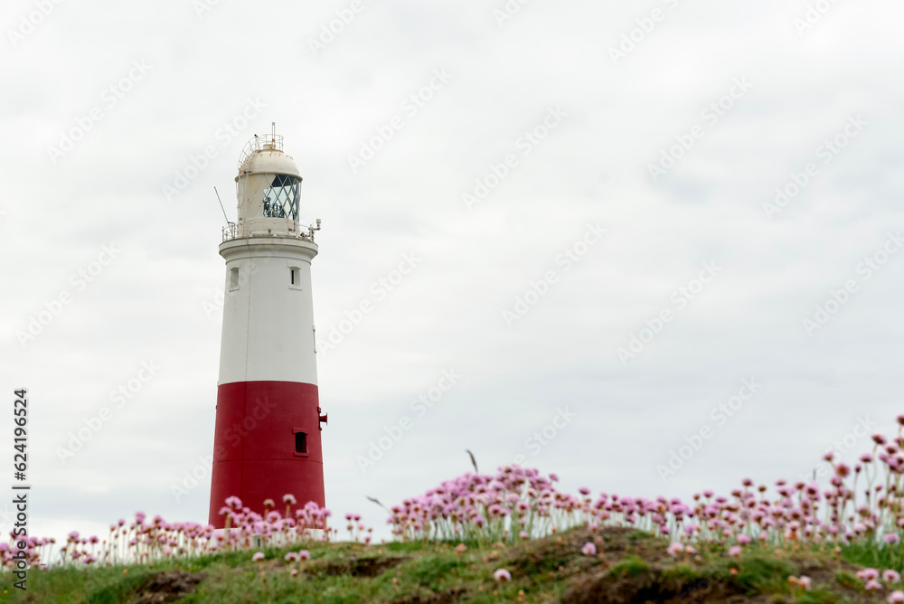 Lighthouse with blurred flowers in the foreground