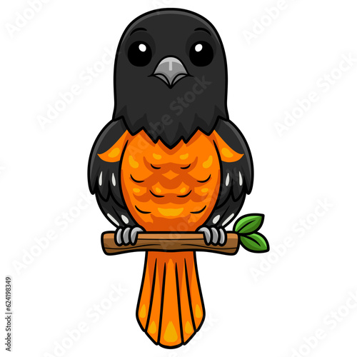 Cute baltimore oriole bird cartoon on tree branch