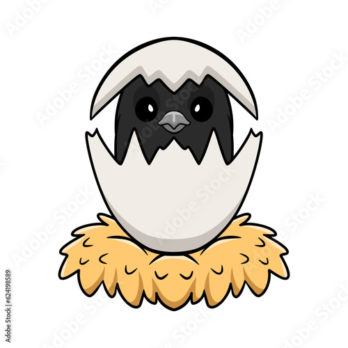 Cute baltimore oriole bird cartoon inside from egg