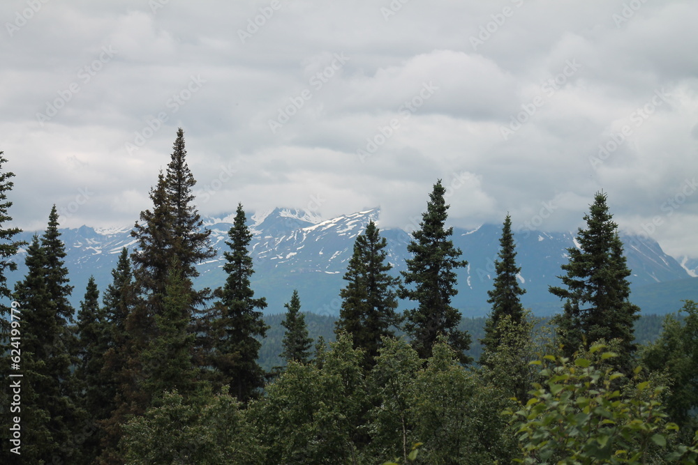 Alaska Photo of Trees and Mountains Alaska Photo of Trees and Mountains