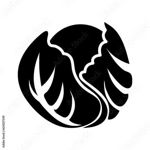 Vector cabbage or lettuce flat illustration on white background..eps