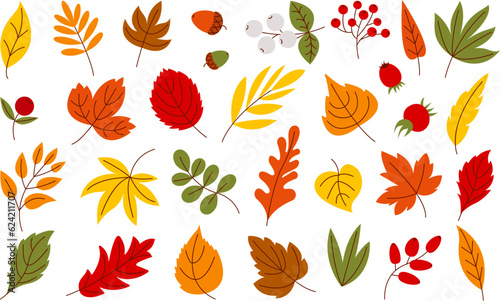 Flat autumn leaves, harvest seasonal leaf. Isolated foliage and berries, fall forest tree elements. Marple, oak and acorns decent vector collection