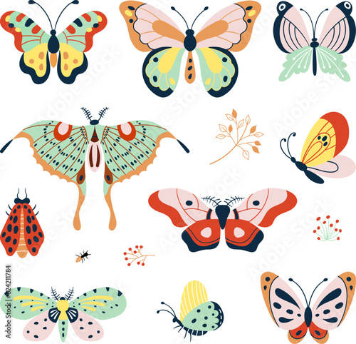 Isolated flat decorative butterflies. Types butterfly and insects, nature graphic elements. Colorful doodle moth, seasonal nowaday vector collection