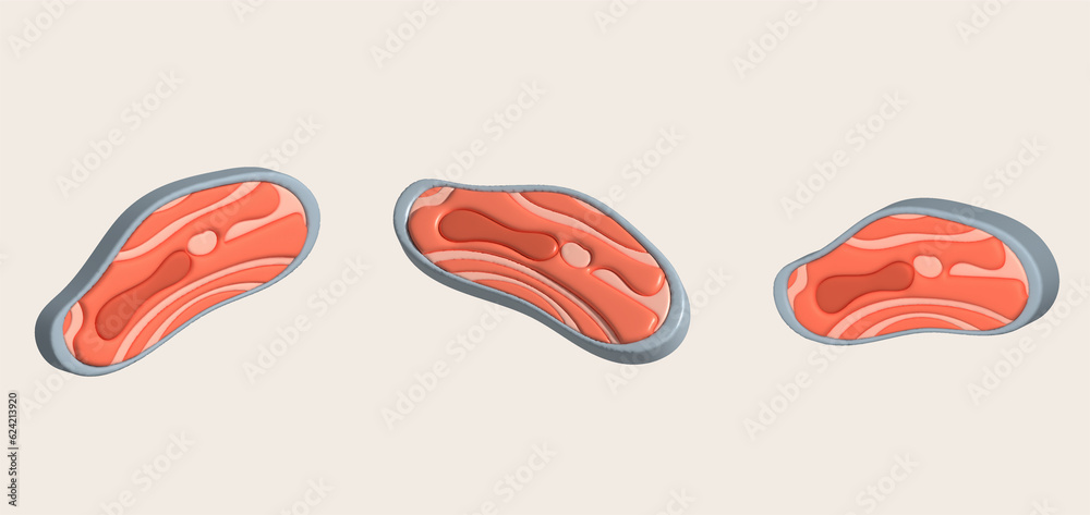 3D illustration, thick slices of raw salmon of fresh sashimi or trout sashimi 3D illustration, thick slices of raw salmon of fresh sashimi or trout sashimi