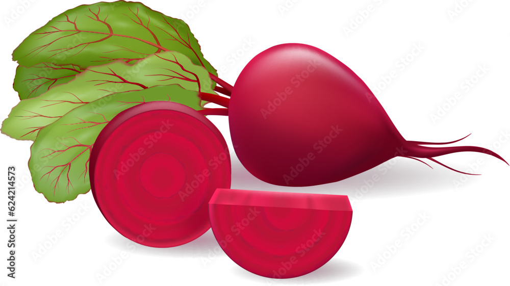 Realistic ripe beetroot vegetable Realistic ripe beetroot vegetable