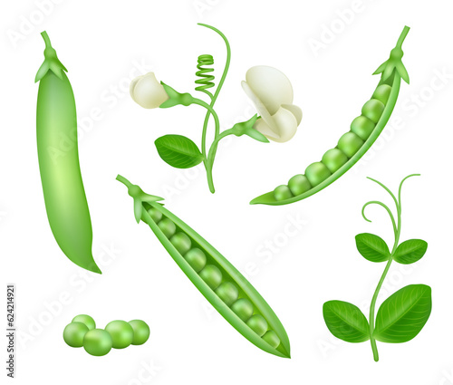 Green peas. Vegan natural food green pea pods healthy products decent vector collection set