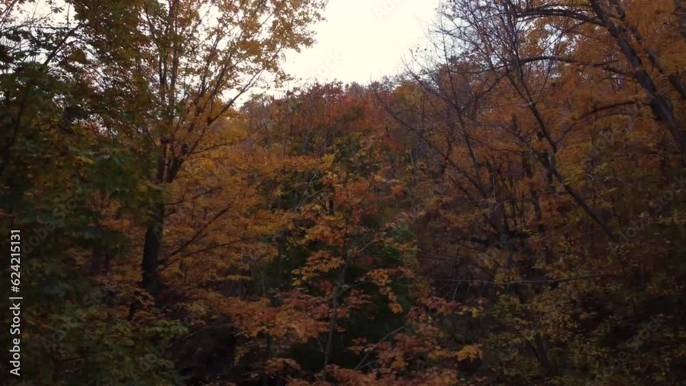 Aerial Ascending From Rocky Ground In Autumnal Woodland Forest Above Tree Line In Niagara, Canada Aerial Ascending From Rocky Ground In Autumnal Woodland Forest Above Tree Line In Niagara, Canada