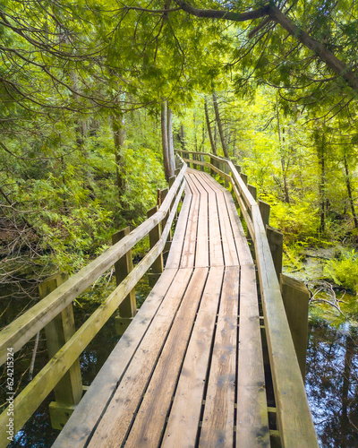 wooden bridge in the woods