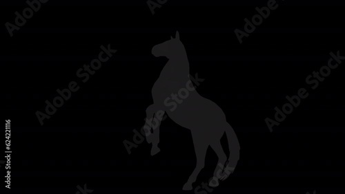 A Horse Pesade Silhouette animation in 2d photo