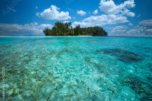 A secluded tropical island with tropical vegetation. Palm trees , picturesque boulders near the shore. Blue sky, clouds.