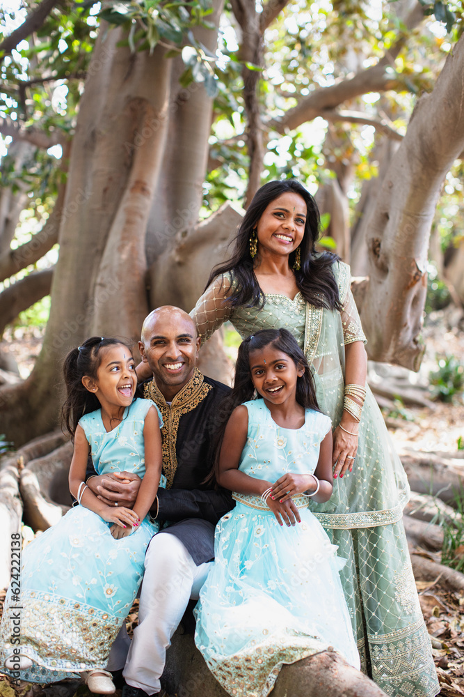 beautiful indian family sisters smiling with a bindi and traditional sari dress and kurta sitting on a tree beautiful indian family sisters smiling with a bindi and traditional sari dress and kurta sitting on a tree