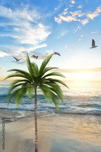 Gaviotas volando por la playa y palmera en la playa