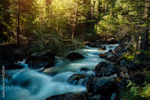 Forest river landscape in Altai mountains  Siberia. Long exposure on a rapid stream flowing through rocks trees.