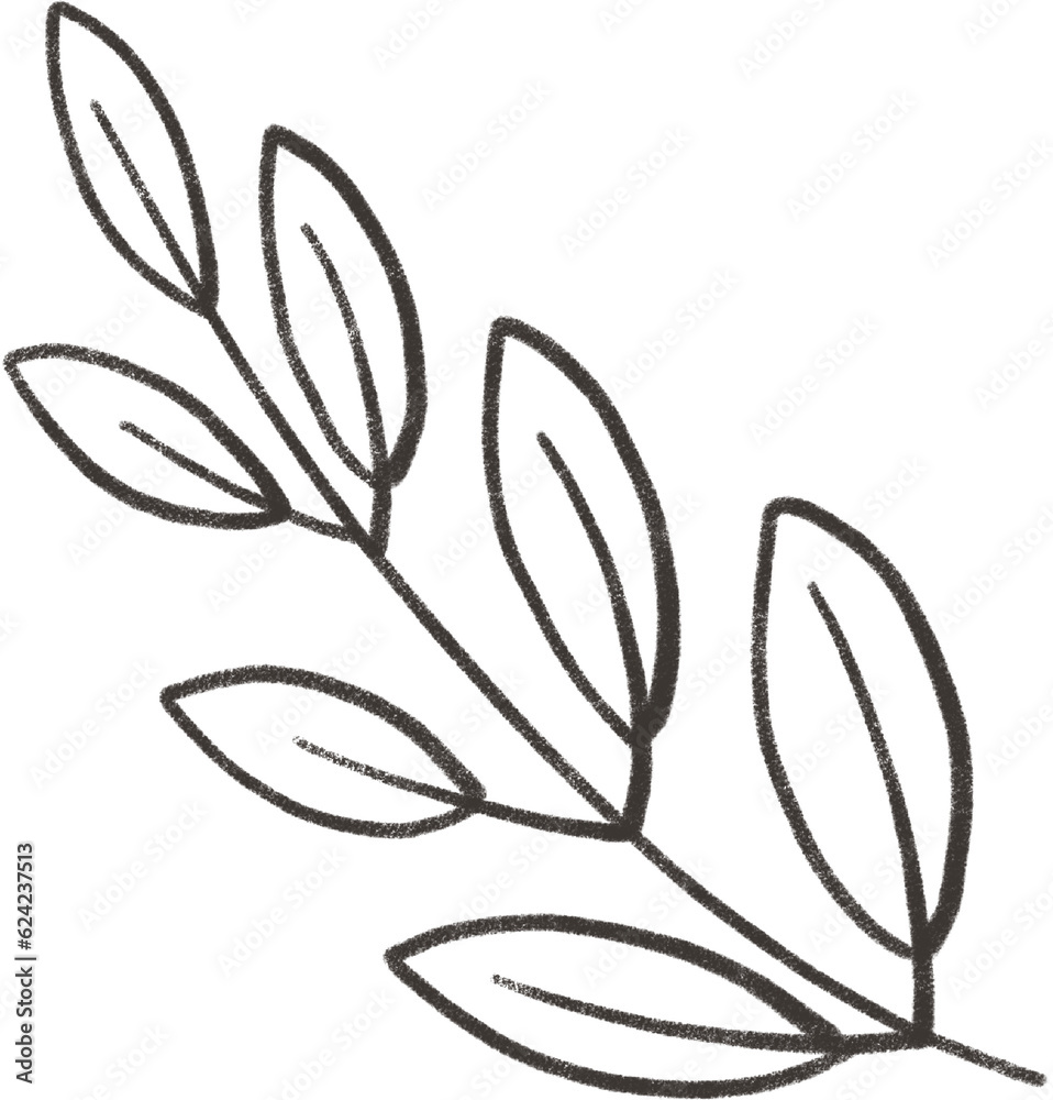 Obraz premium Leaves