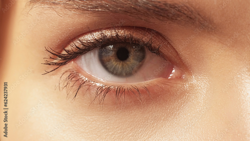 Obraz premium Vision correction. Laser surgery. Sight ophthalmology. Macro of female woman detailed open clear healthy eye with gray brown iris and pupil.