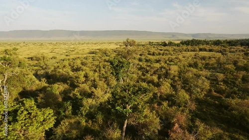 Hot air ballon tour over the treetops above the canopy of beautiful African landscape in Maasai Mara National Reserve, Kenya, Africa Safari Animals in Masai Mara North Conservancy