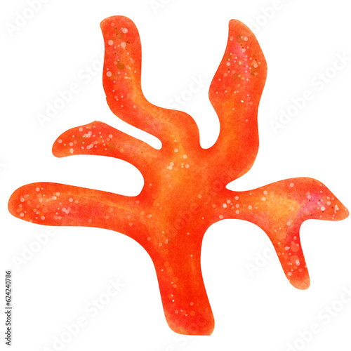 beautiful orange coral pattern white background
