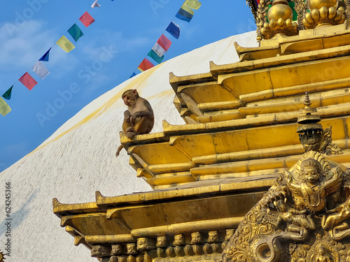 Photography Monkey sitting on the famous awaymabhunath Monkey Temple in the city of Kathmandu, Nepal