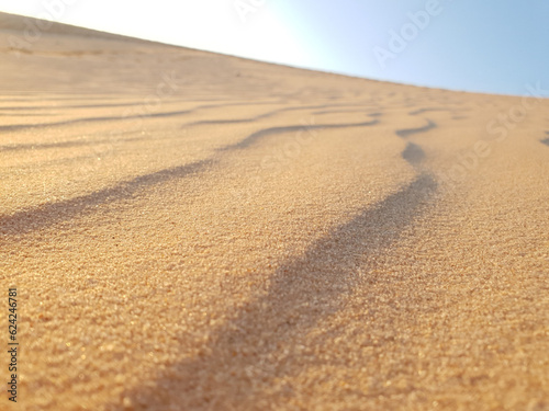 Fototapeta Naklejka Na Ścianę i Meble -  sand dunes in the desert