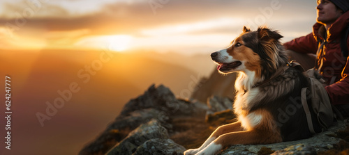 Hiking with the Dog, a Young Man and His Active Border Collie Dog Sitting on Cliff Rock to Take a View of Sunrise after long Trail Trekking in the Mountain Peaks. Activities with Pet. AI generative