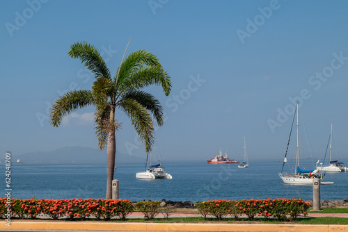 Fototapeta Naklejka Na Ścianę i Meble -  Amador causeway at the panama city, a path with flowers and palms, good asphalt and boats in the background. Popular tourist and recreational spot in Panama.
