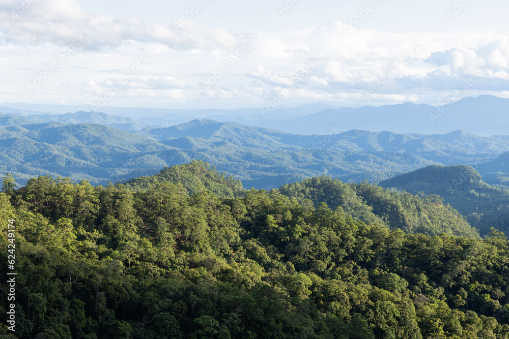 High angle tropical forest, Green forest aerial view and environmental technology concept. Green tech. Ecology. Green transformation. High angle tropical forest, Green forest aerial view and environmental technology concept. Green tech. Ecology. Green transformation.
