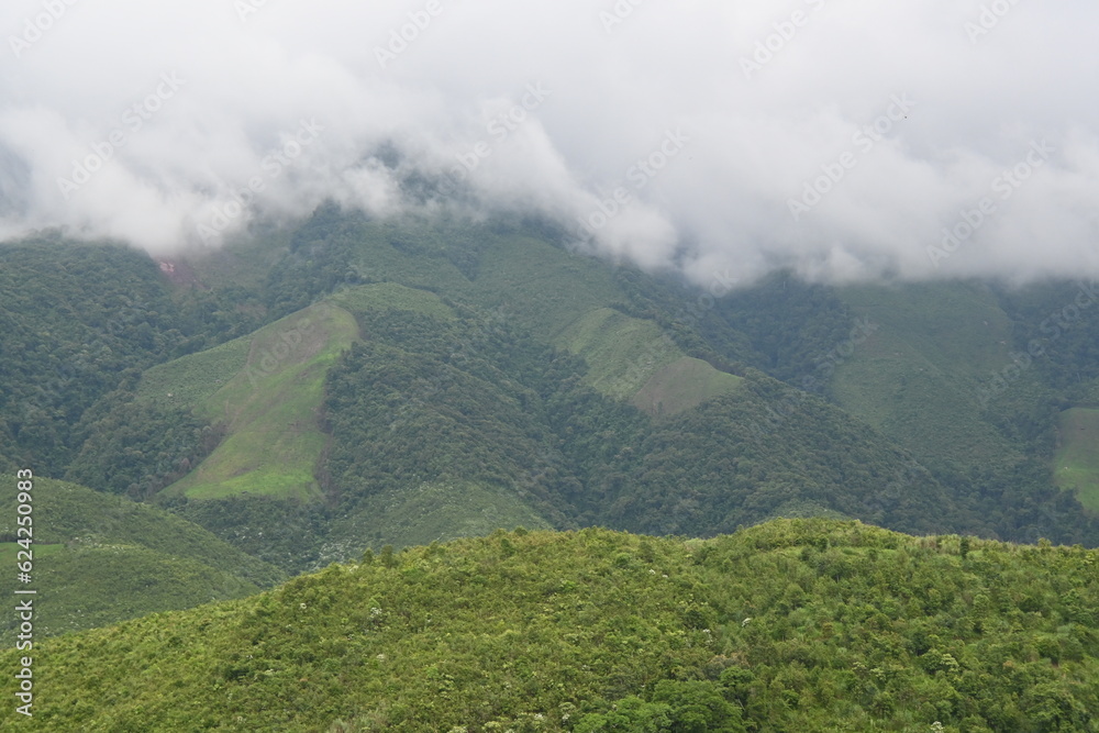 The white mist in the middle of the green valley is divided into beautiful color layers.