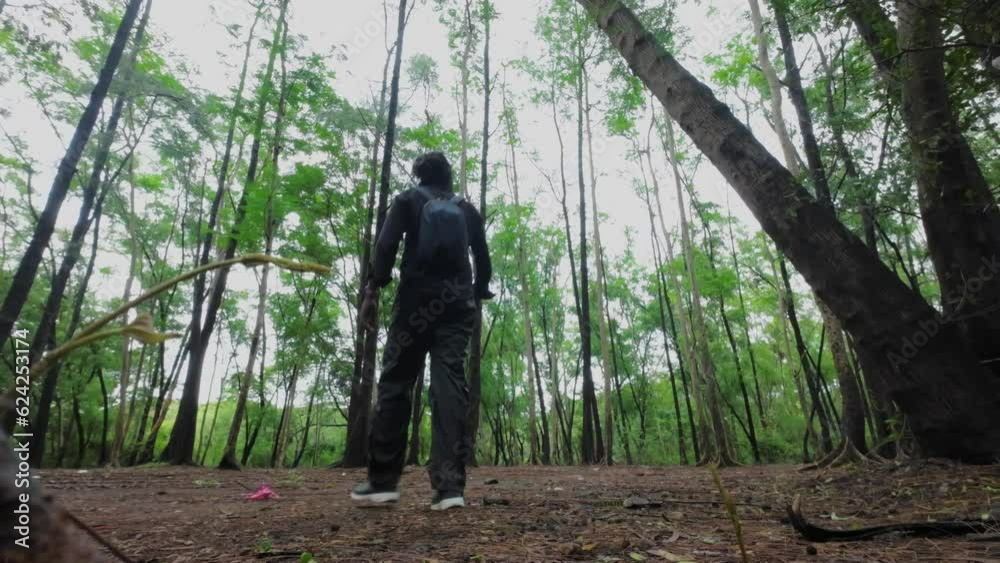 man checking a navigation in forest wide view man checking a navigation in forest wide view