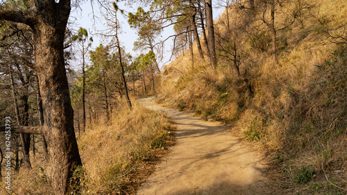 Scenic landscape of Kasauli, Gilbert trail also known as sunset point photo