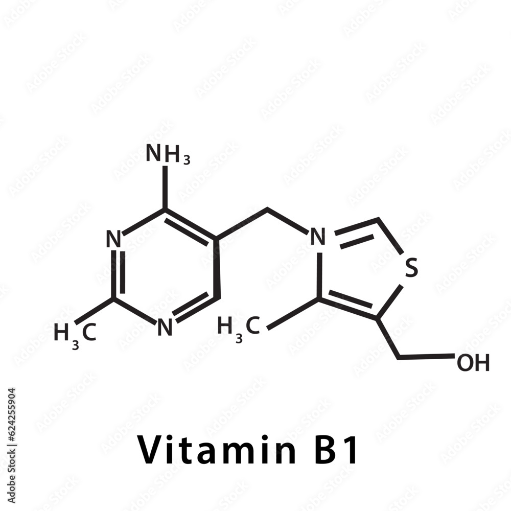 Vitamin B 1 structure formula flat style