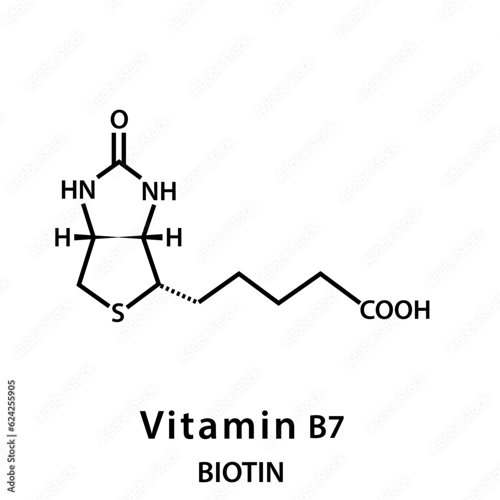 Vitamin B 7 structure formula flat style Vitamin B 7 structure formula flat style