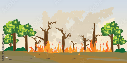 Forest burning in natural disaster.