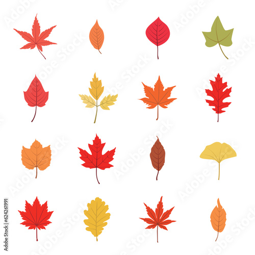秋　葉　紅葉　葉のシルエット　アイコン　セット