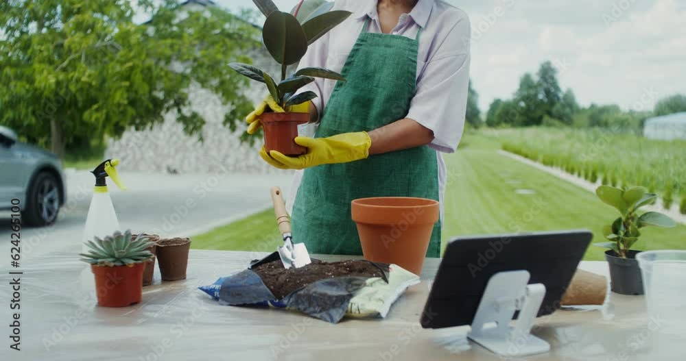 Young woman in an apron and rubber gloves transplants flowers while standing in the backyard Young woman in an apron and rubber gloves transplants flowers while standing in the backyard