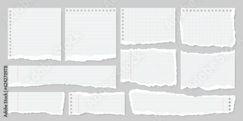 Set of torn or ripped notebook paper with line, grid, dot and margin. Split note, scrap page and newspaper tear with edges for abstract banner background. Social media grunge label or scrapbook strip.
