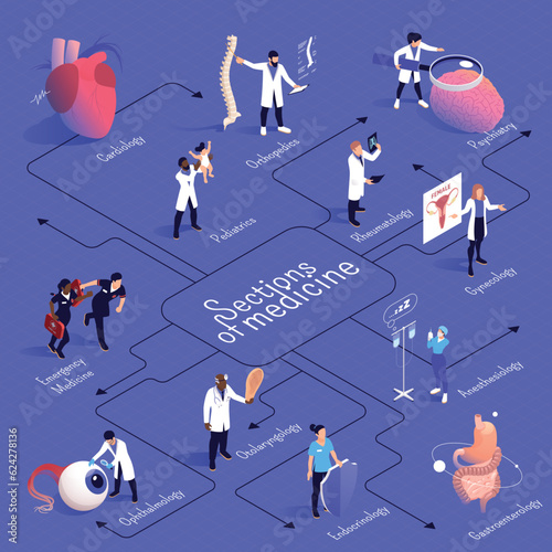 Sections Of Medicine Isometric Flowchart