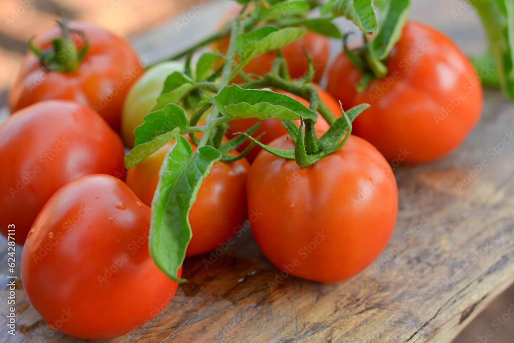 Fresh red tomatoes with green leaves on wooden background Fresh red tomatoes with green leaves on wooden background