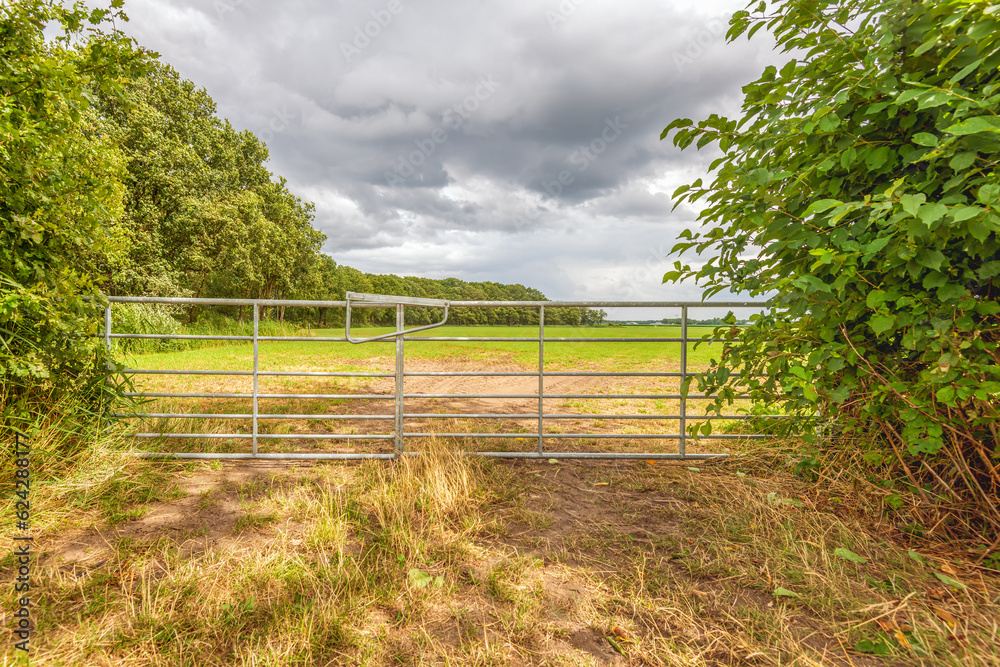 Closed iron gate on the edge of a meadow. The grass in the foreground has yellowed due to the persistent drought. The photo was taken in the Dutch province of North Brabant on a cloudy summer day.