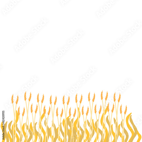 Spikelet of Wheat Field.Agriculture Cereal Harvest.Dry Grass