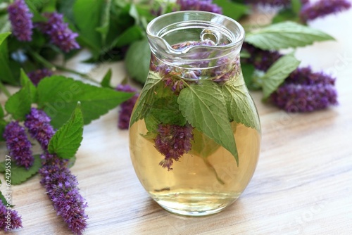 Herbal tea from medicinal herb Agastache foeniculum, also called  giant hyssop or Indian mint. Aromatic agastache tea is good for the stomach and lungs. photo