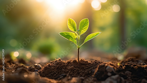 Growing Seedling with Morning Sunshine on Green Bokeh Background, AI generated