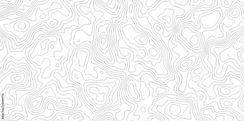 Background of the topographic map. White wave paper curved reliefs abstract background. Topographic line contour map background. Black and white topography contour lines map isolated.