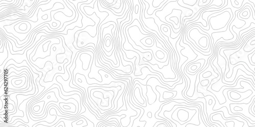 Background of the topographic map. White wave paper curved reliefs abstract background. Topographic line contour map background. Black and white topography contour lines map isolated.