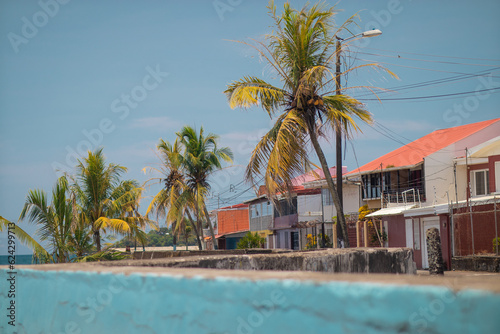 Typical houses in puerto limon, a coastal city in costa rica on a sunny day. Close to beach, palms are seen. © Anze