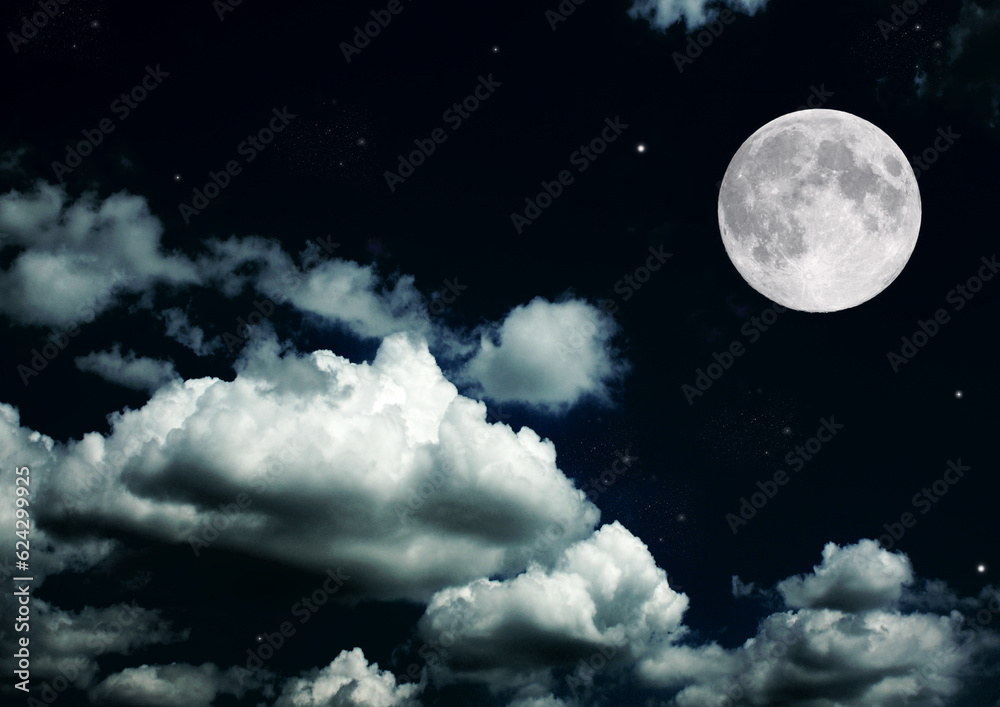 The moon in the night sky