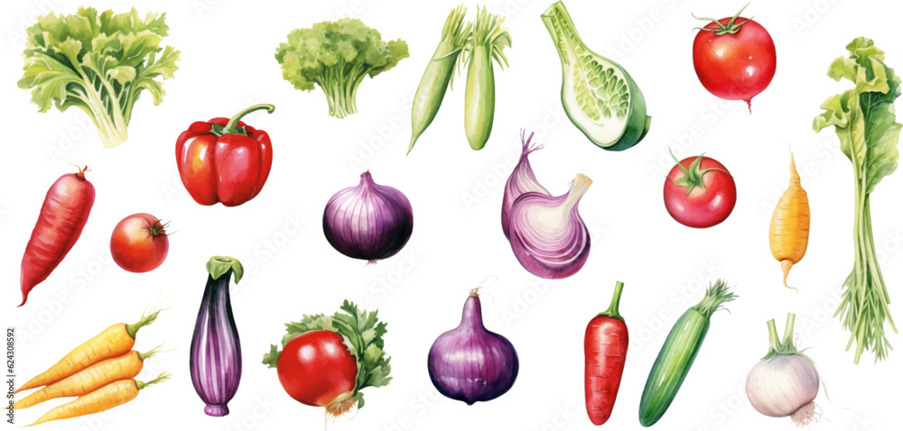 Set of watercolor mixed vegetables Easy to draw, white background Set of watercolor mixed vegetables Easy to draw, white background