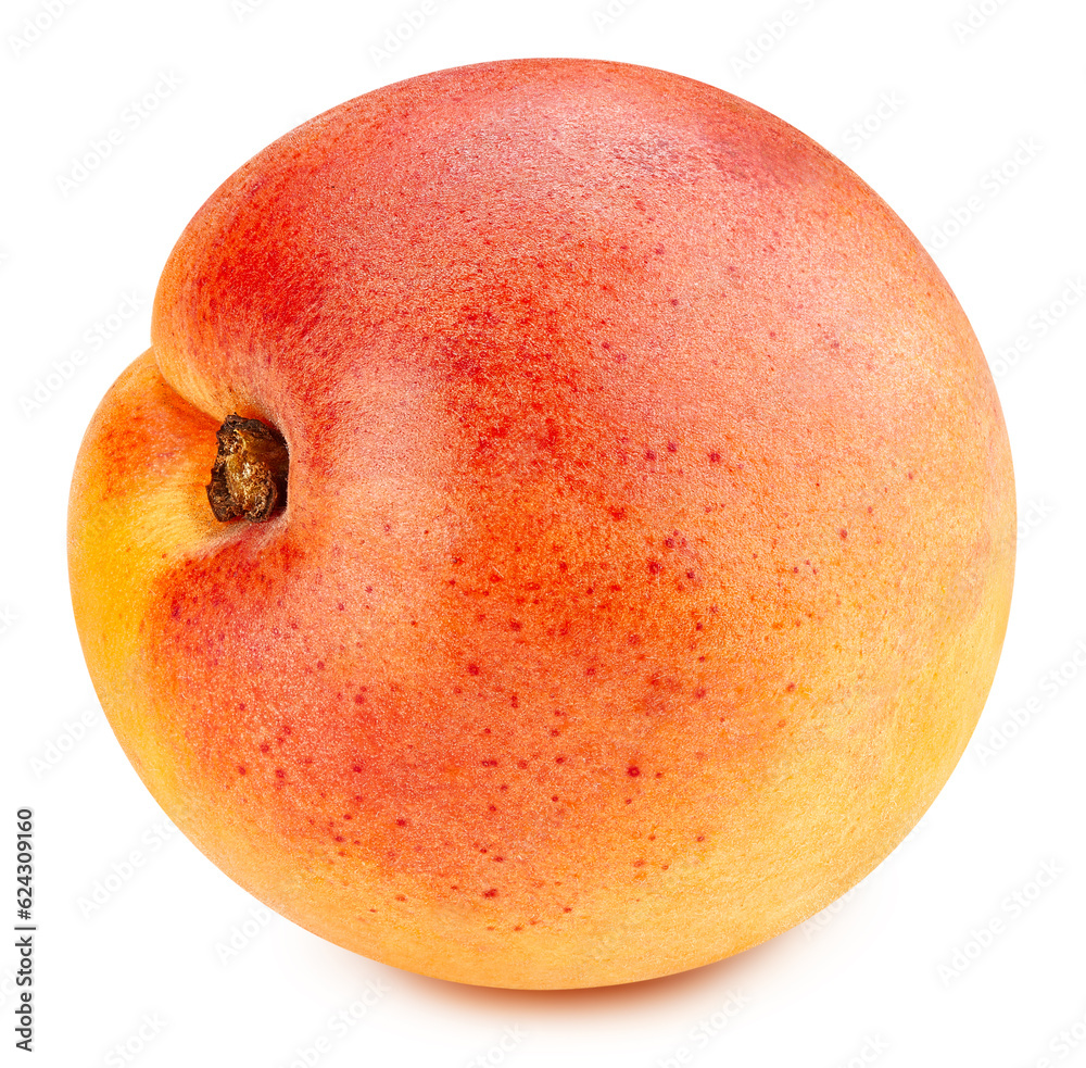 Apricot fruit isolated