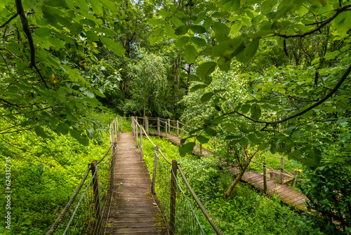 Mountain wooden path in the Borce commune of the French Pyrenees