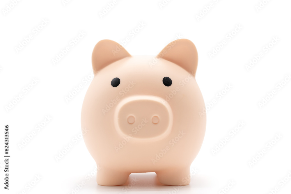 Piggy bank isolated on white background. Saving pig, small money box, planning home finances concept.