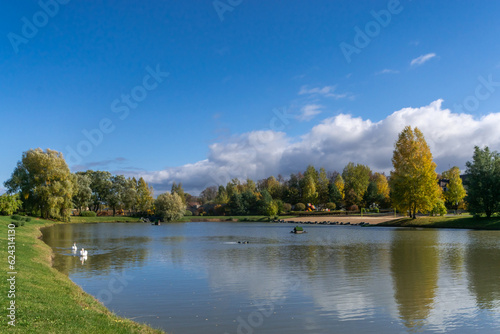 An idyllic landscape with a small pond against a clear blue sky. Two white swans on the surface of the pond.